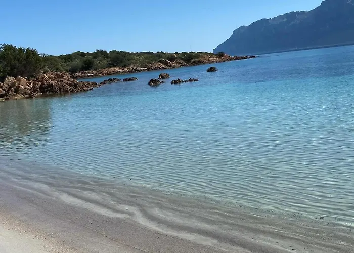 Lägenhet Oasy Sul Mare *