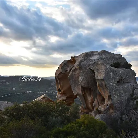 Oasy Sul Mare Olbia