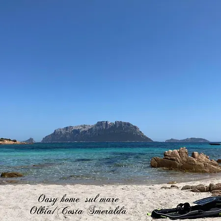 Oasy Sul Mare